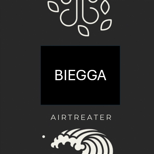 Biegga logo